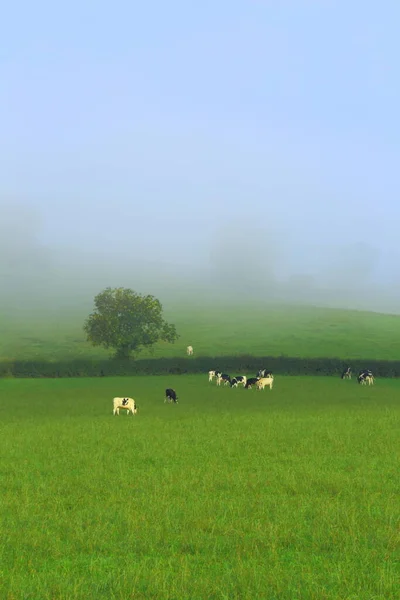 Terras Agrícolas Axe Valley Devon Manhã Enevoada — Fotografia de Stock