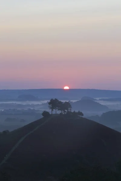 Colmer Hill Dorset Wielka Brytania Świcie — Zdjęcie stockowe