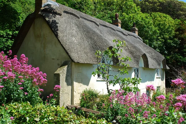 Cottage — Stock Photo, Image