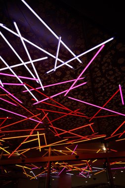 Neon Işıkları