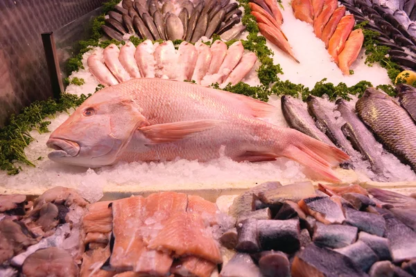 Sea food — Stock Photo, Image
