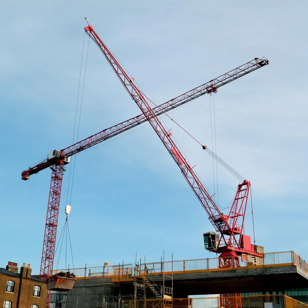 Deux grues — Photo