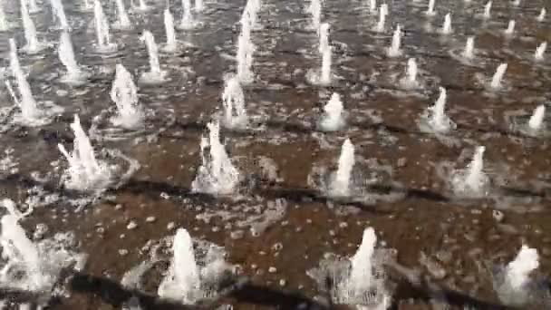 Dancing fountain — Stock Video