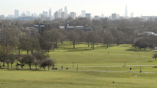 Londons Skyline mit Regent 's Park im Vordergrund — Stockvideo