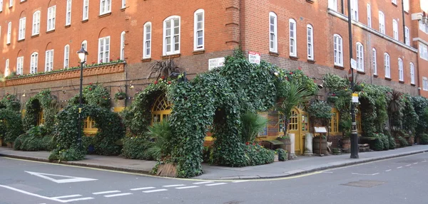 Gebouw versierd met planten — Stockfoto