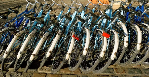 Fila de bicicletas — Fotografia de Stock