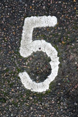 Beyaz beş numaralı