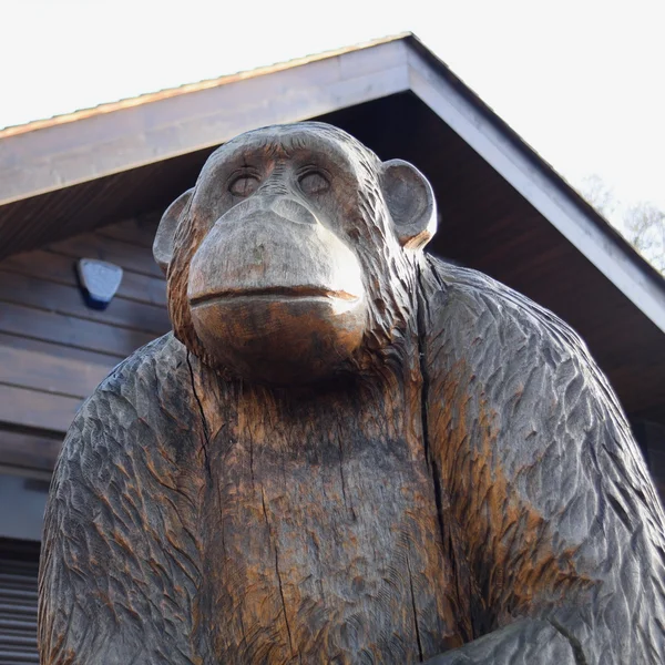 Статуя дерев'яні мавпи — стокове фото