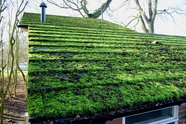 Будинок з зеленим дахом — стокове фото