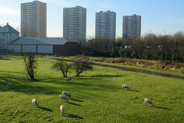 Parque Lee Valley — Foto de Stock