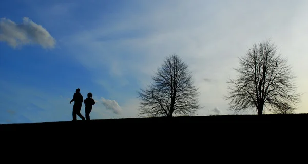 Horisont vid solnedgången — Stockfoto