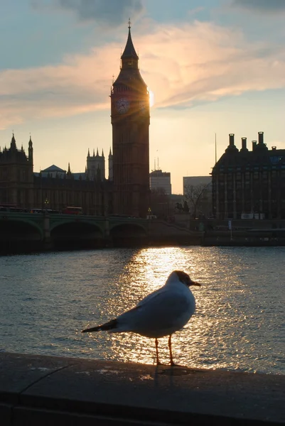 Sunset in London — Stock Photo, Image