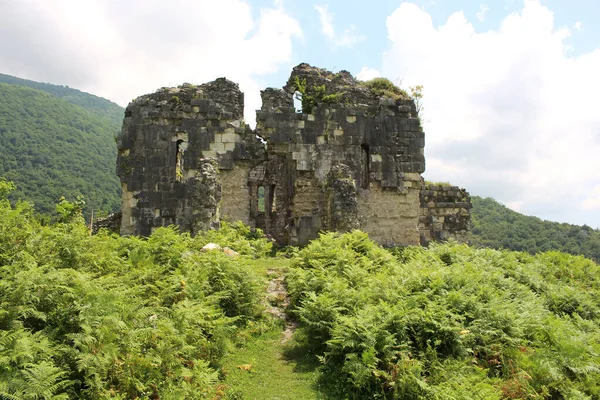 Ruins Bzyb Temple Abhkazia — Stock Photo, Image