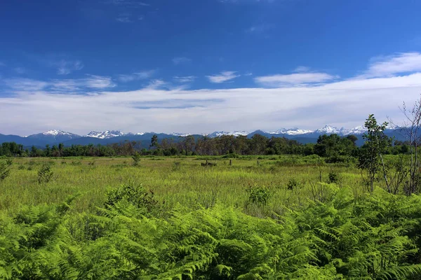 Panorama Van Kaukasische Bergen — Stockfoto