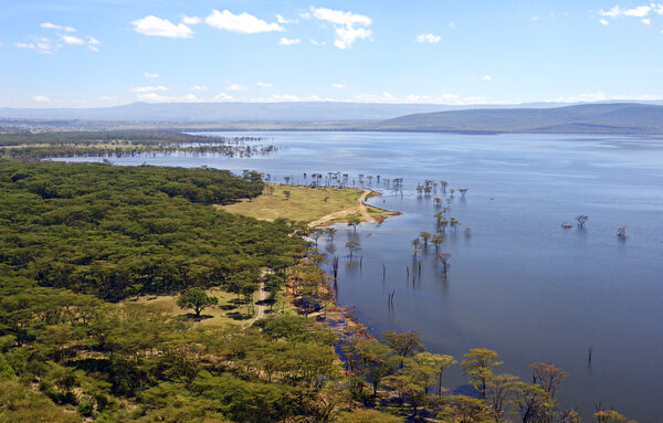 Lake Nakuru in Kenya