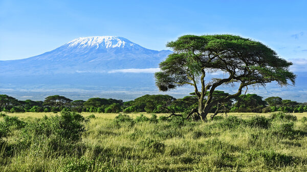 Mount Kilimanjaro in Tanzania, Amboseli National Park