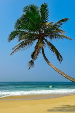 Ocean Beach Sri Lanka