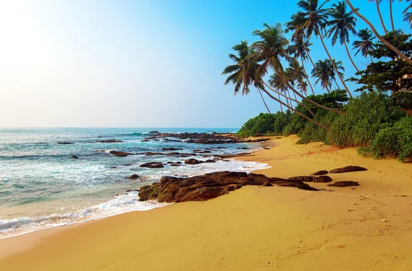 Strände in sri lanka — Stockfoto