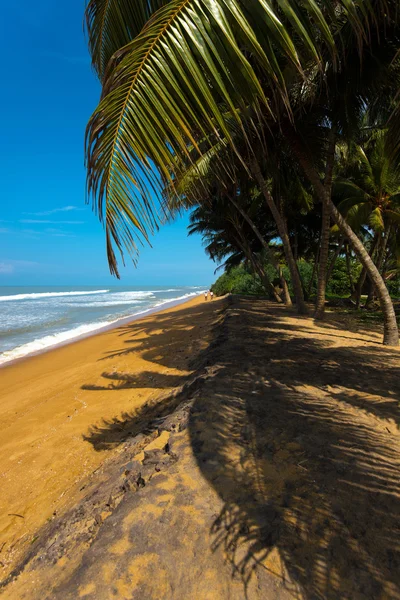스리랑카 해변 스톡 이미지