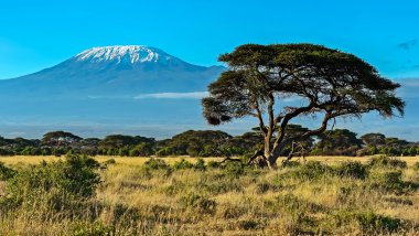 Afrika savana Kenya