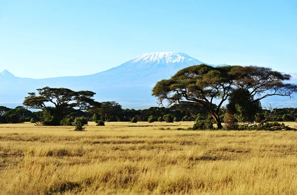 Africké savany v Keni — Stock fotografie