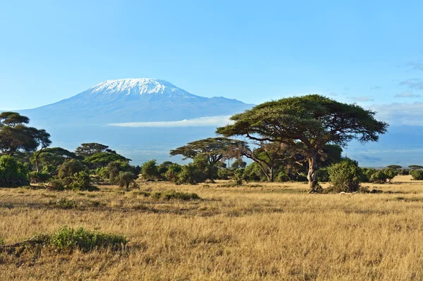 Afrikaanse savanne in Kenia — Stockfoto