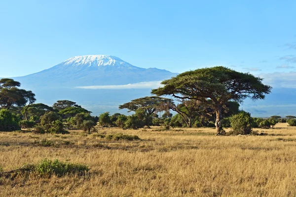 Savana africana no Quênia — Fotografia de Stock