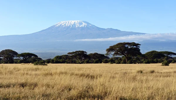 Sabana africana en Kenia — Foto de Stock