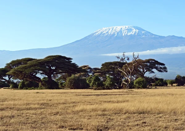 Afrikansk savann i Kenya — Stockfoto