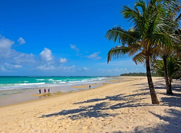 Schilderachtige kust Diani — Stockfoto