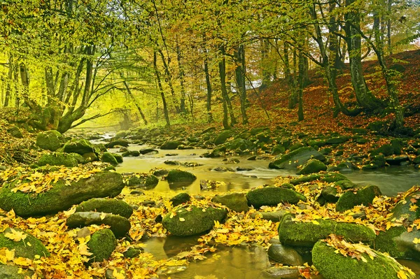 Outono paisagem montanha rio — Fotografia de Stock