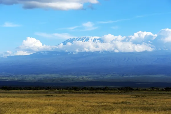 Monte Kilimangiaro — Foto Stock