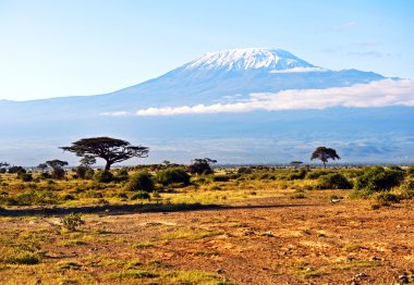 Afrika savana peyzaj