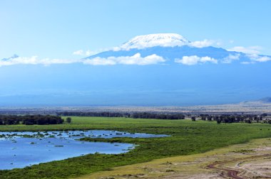 kilimanjaro Dağı 