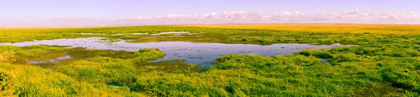 African landscape — Stock Photo, Image