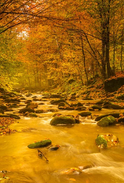 Paisagem de outono — Fotografia de Stock