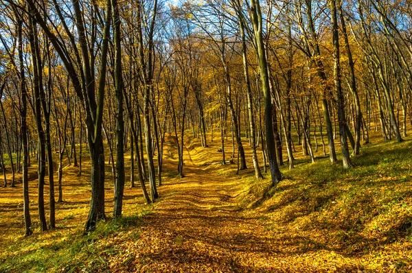 Podzimní krajina — Stock fotografie