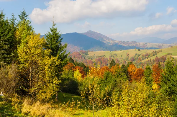 Autumn landscape — Stock Photo, Image