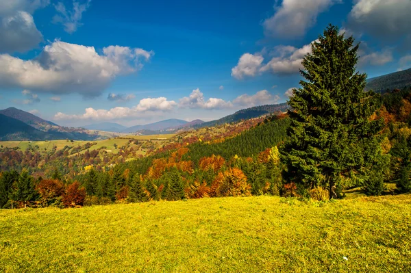 Осінній краєвид — стокове фото