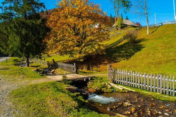 Autumn landscape — Stock Photo, Image