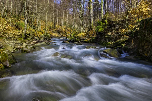 Herfstlandschap — Stockfoto