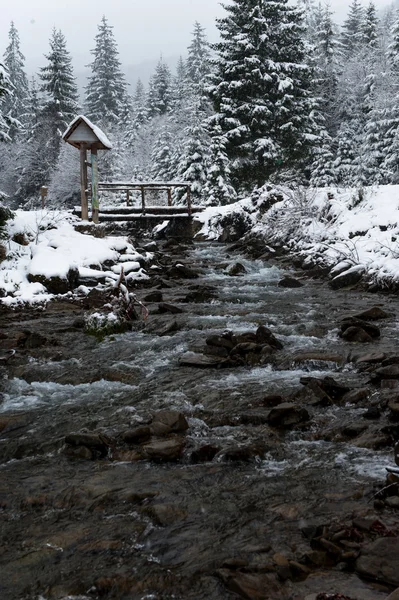 Landscape — Stock Photo, Image