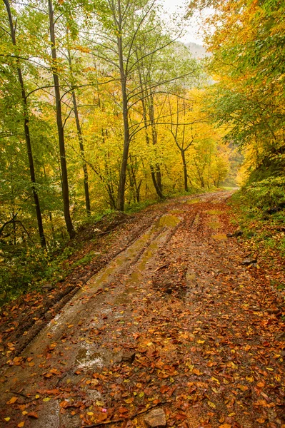 Podzimní krajina — Stock fotografie