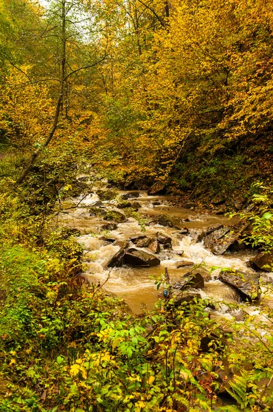 Höstlandskap — Stockfoto