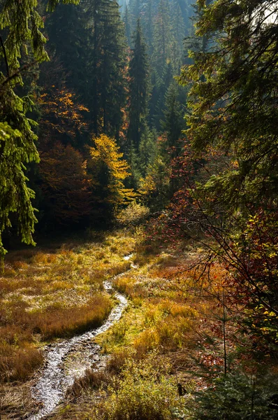 Herfstlandschap — Stockfoto