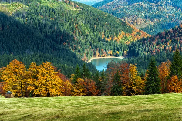 Sonbahar manzarası — Stok fotoğraf