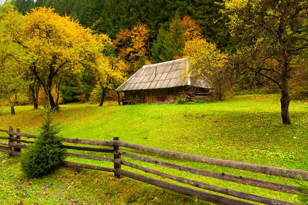 Autumn landscape Stock Image