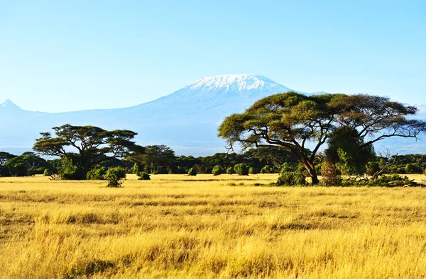 Afrikanische Savannenlandschaft — Stockfoto