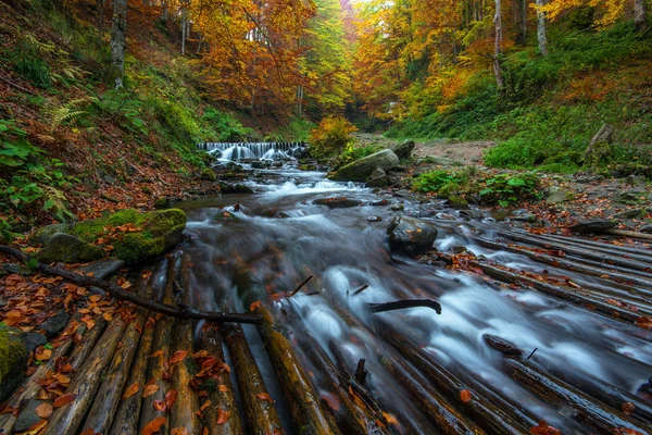 Herfstlandschap — Stockfoto