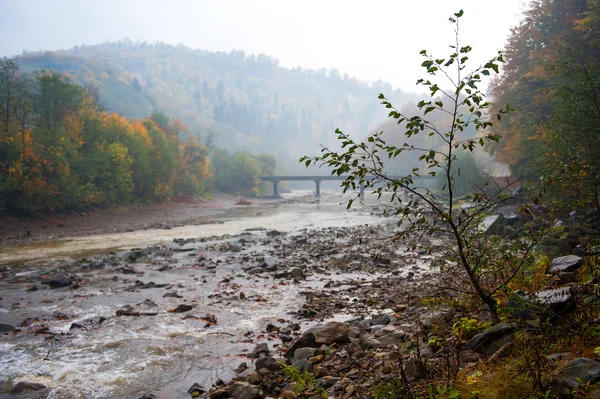 Autumn landscape — Stock Photo, Image